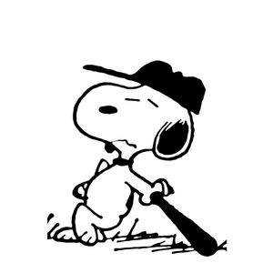 BASEBALL SEASON IN PLAY ⚾️